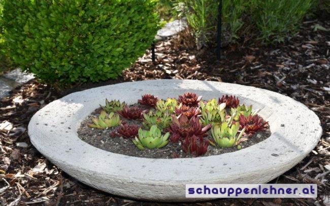 Bepflanzte Steinschale für den Garten